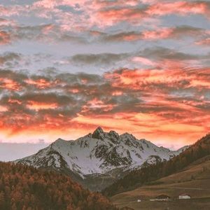 Meet your Posher, Cayli